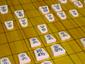 Shogi_Game_Position[1]