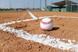 baseball-field-1563858_960_720[1]