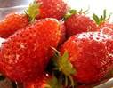 111890_PC_Ms[1]