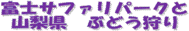 xmTt@p[N
R@Ԃǂ