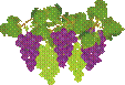 grape3.gif