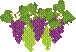 grape3.gif