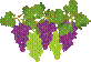 grape3.gif