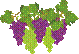grape3.gif