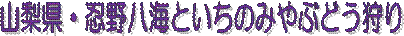 REE씪CƂ݂̂Ԃǂ