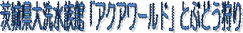 錧فuANA[hvƂԂǂ