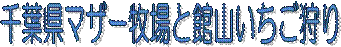 t}U[qƊَR