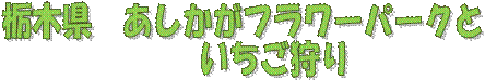 Ȗ،@t[p[N
@@