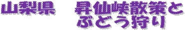 R@勬U
@@@Ԃǂ
