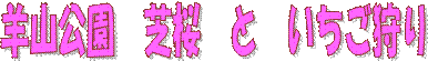 rR@ō@Ɓ@