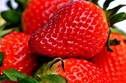 strawberry-2290969_960_720[1]