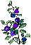 MC900123221[1]