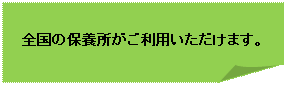 : Sۗ̕{p܂B

