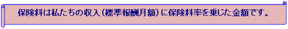 �X�N���[��: ��: �ی����͎������̎����i�W����V���z�j�ɕی��������悶�����z�ł��B